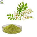 Best products sophora japonica extract powder